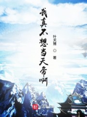 沈浪 苏若雪 完整txt