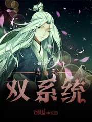 网球王子中文版