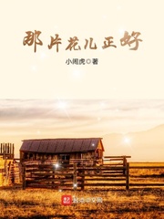 变形金刚7免费观看