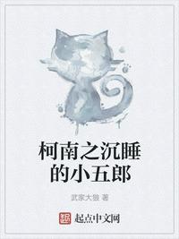 杨家将后传