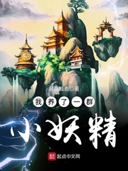 天才风水师