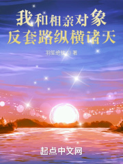 爆肝工程师的异世界狂想曲2