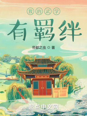 杨家将后传