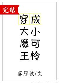 张雅丹和黄总15一16章