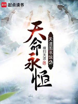 杨家将后传