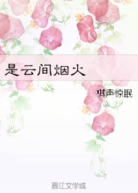 创造与魔法鸟位置必刷