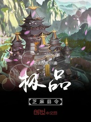 绝品开光师免费阅读