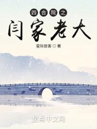 宝可梦新无印免费观看中文版