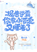 猫咪官网破解版