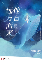 逆转流星在线观看