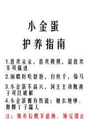 爱威波波官网