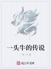 傻儿师长