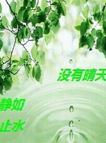 狡猾的风水相师全文