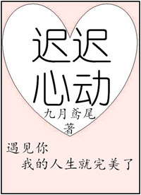 傻儿师长